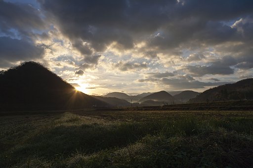 朝日の出！