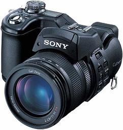 DSC-F828