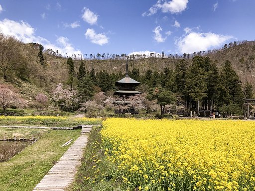 【開放感】安久津八幡神社