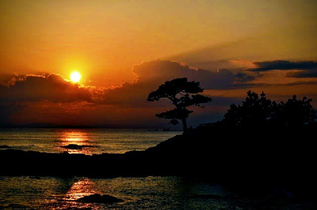 夕陽