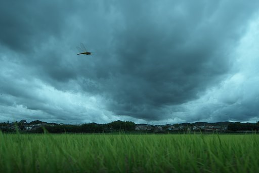秋雨前線