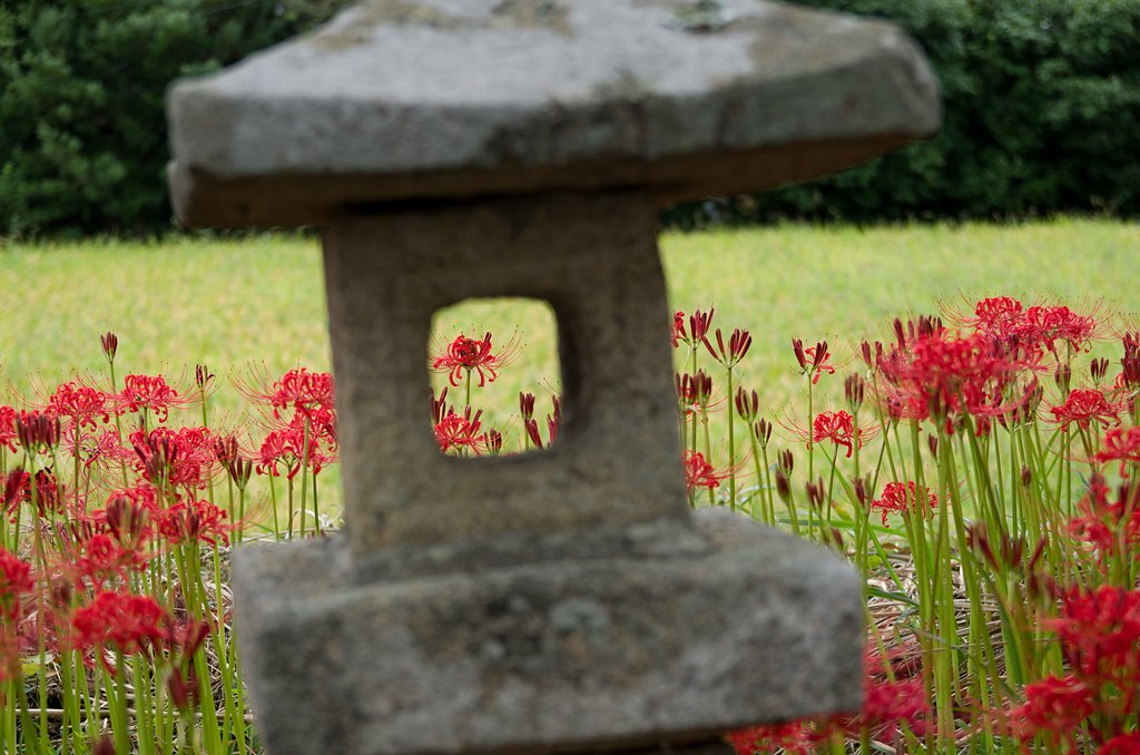 SIGMA 17-50mm F2.8 EX DC HSM 