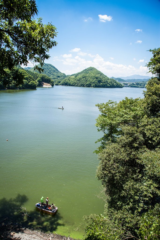 夏の相模湖