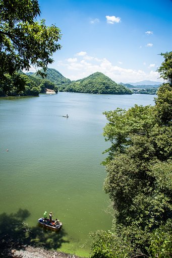 夏の相模湖