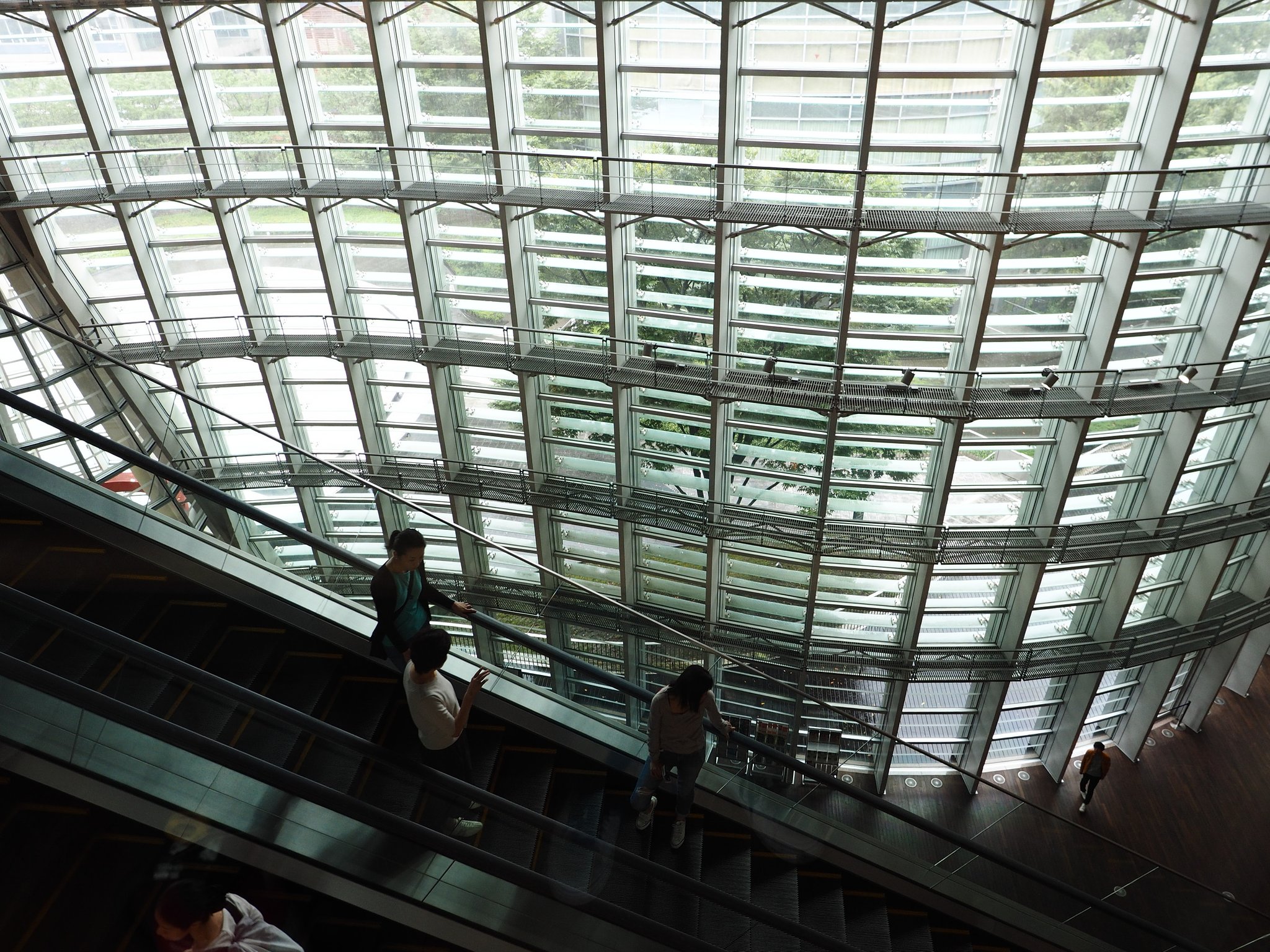 Line & Wave(国立新美術館)その2
