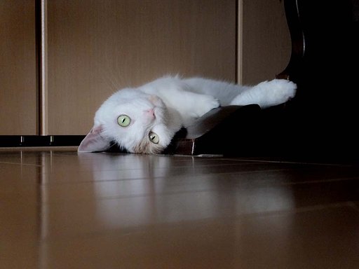 逆さまですよ