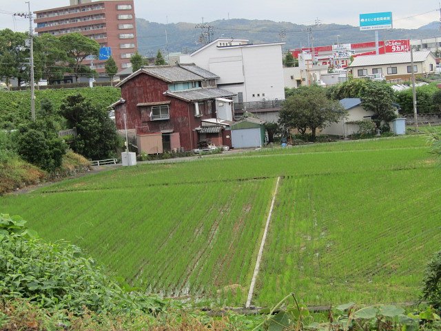 田畑がある風景