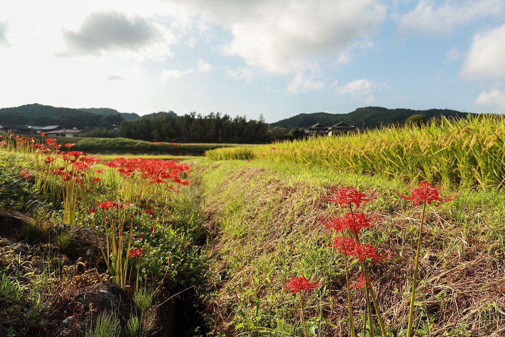有田町の風景ＤＰＰ～ライトルーム