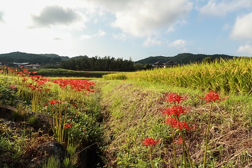 有田町の風景ＤＰＰ～ライトルーム
