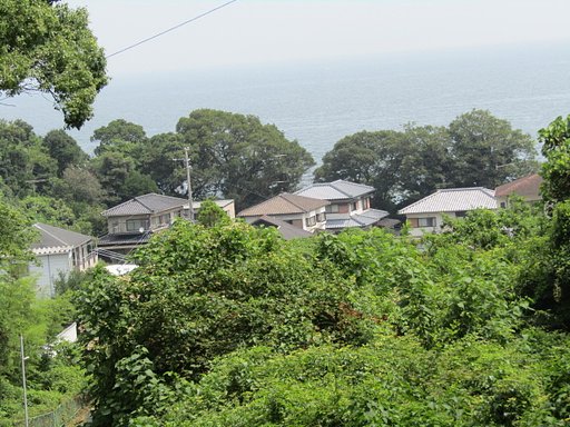 森林公園＆住宅街