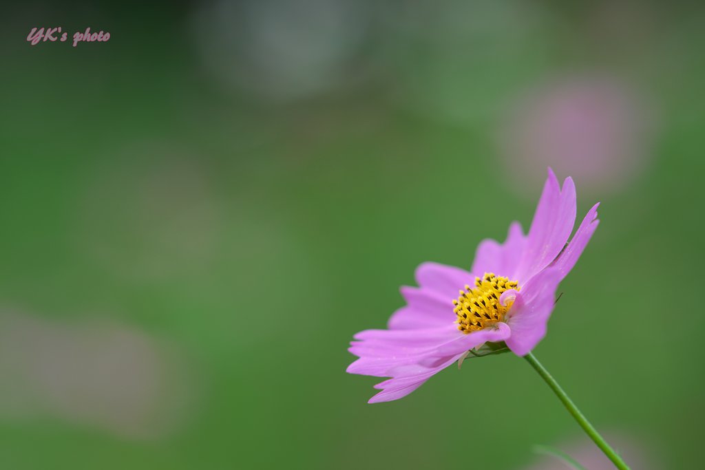 Sonner 135mm F1.8 ZA
