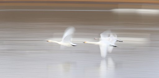 飛翔ーⅠ