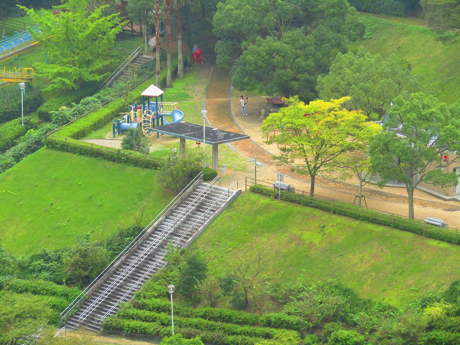 ＜命＞　遠距離撮影に挑戦