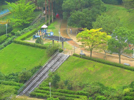 ＜命＞　遠距離撮影に挑戦