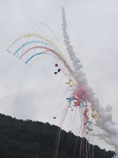 暴れ龍