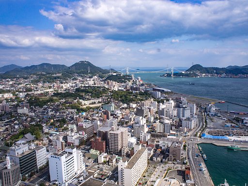 11月2日の写真