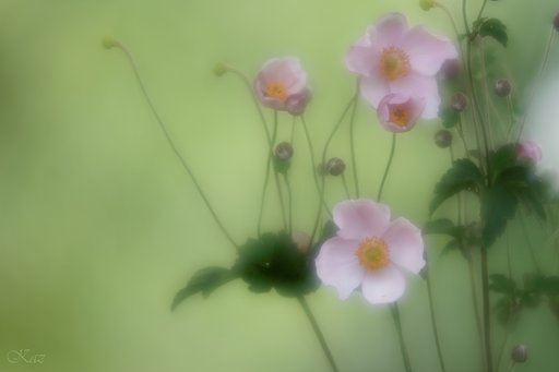 試し撮り