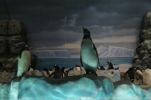 ペンギン悪の帝国