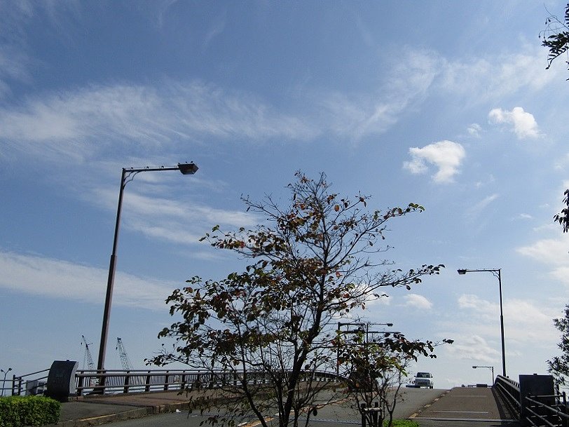 🌀台風一過のあとの風景