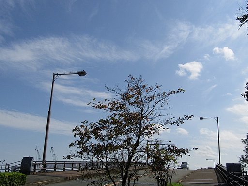 🌀台風一過のあとの風景