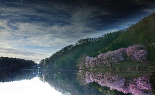 深淵に咲き・誇る