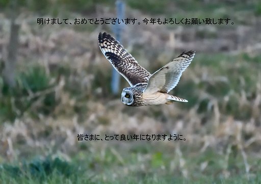 明けまして、おめでとうございます。