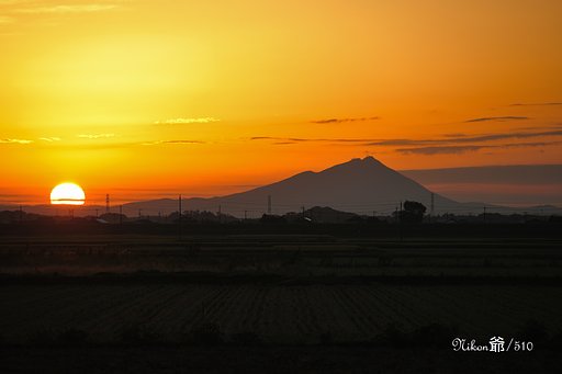 久々のお天道様