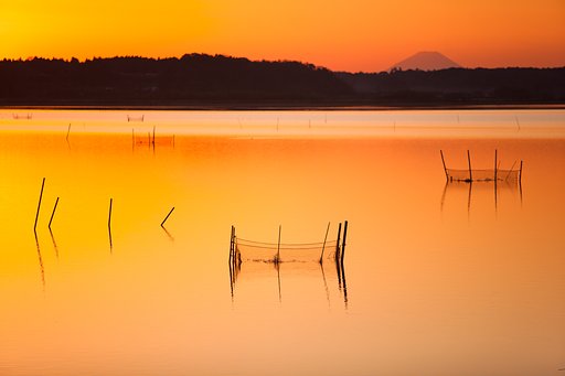 北印旛沼夕景