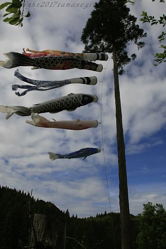 元気よく！