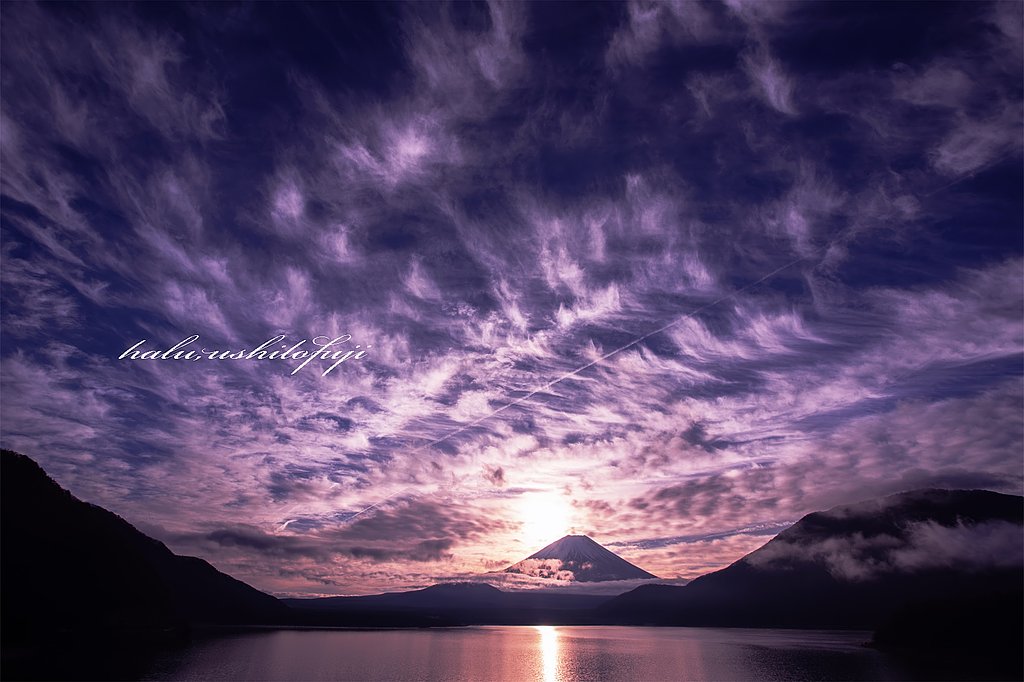 舞い上がる羽雲