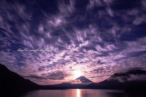 舞い上がる羽雲