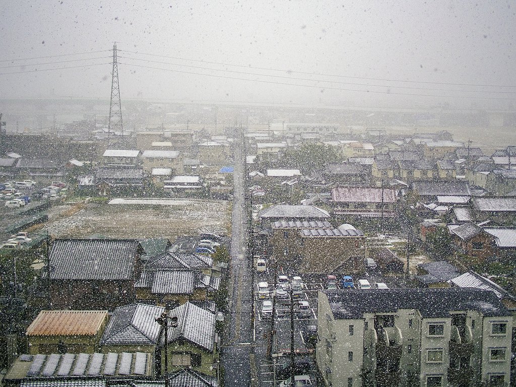 大雪警報中