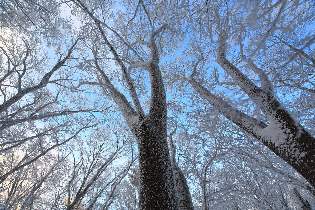 氷点下6℃