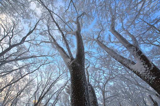 氷点下6℃