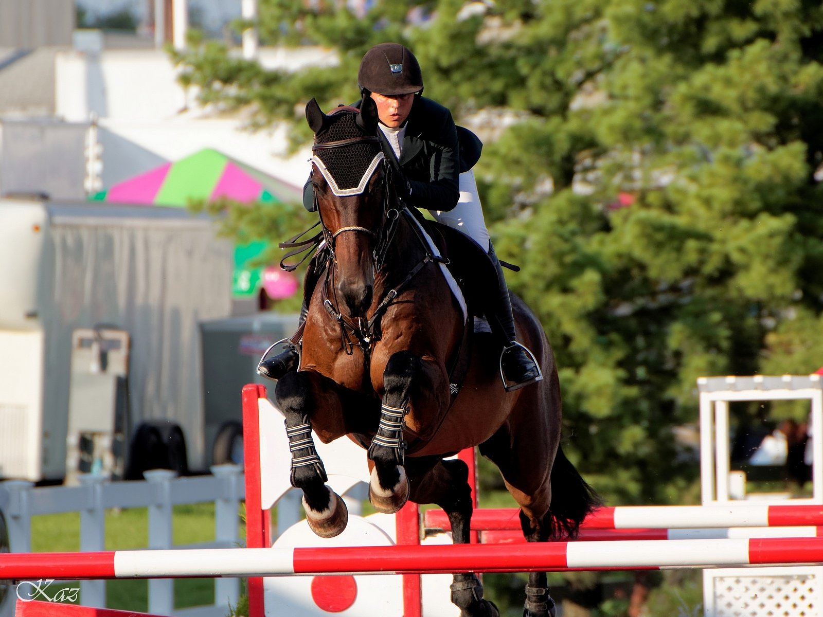 【MFP】My Favorite Jump Shot 馬術競技編