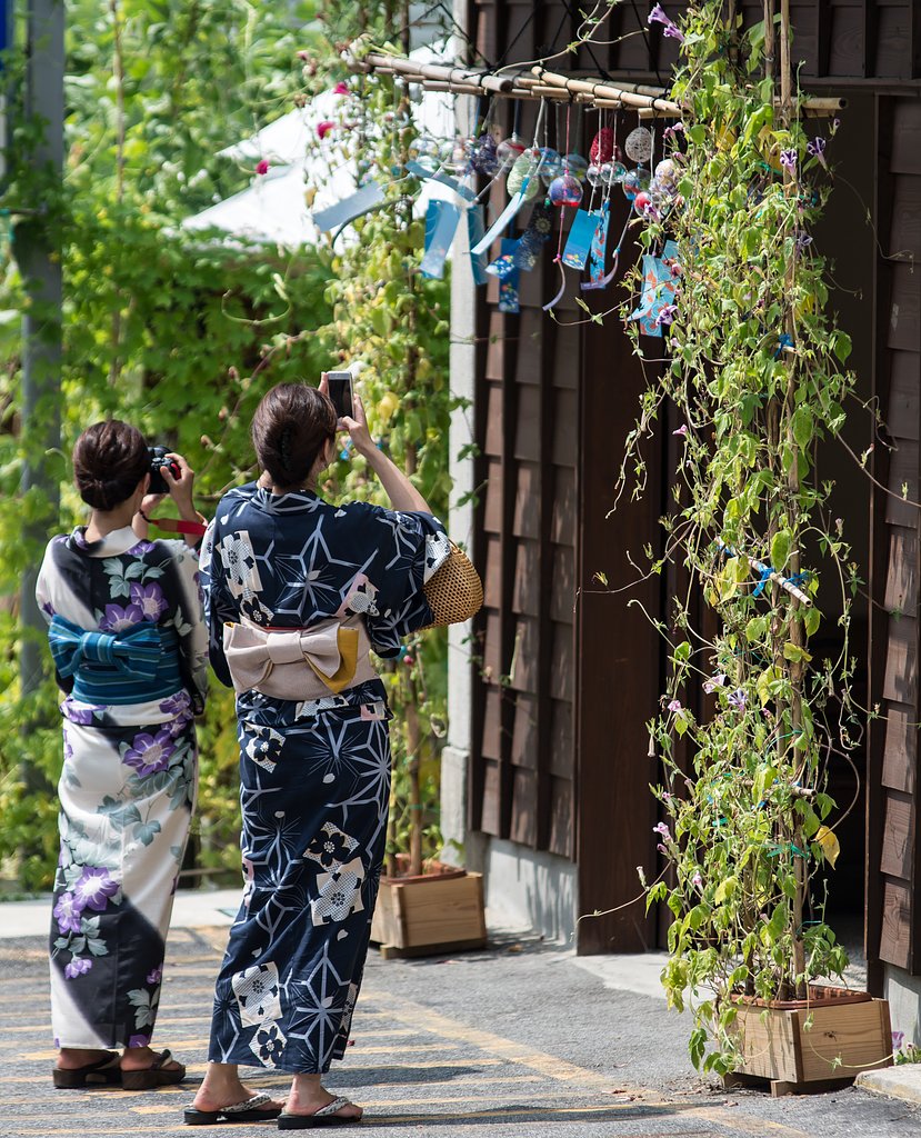夏を撮る