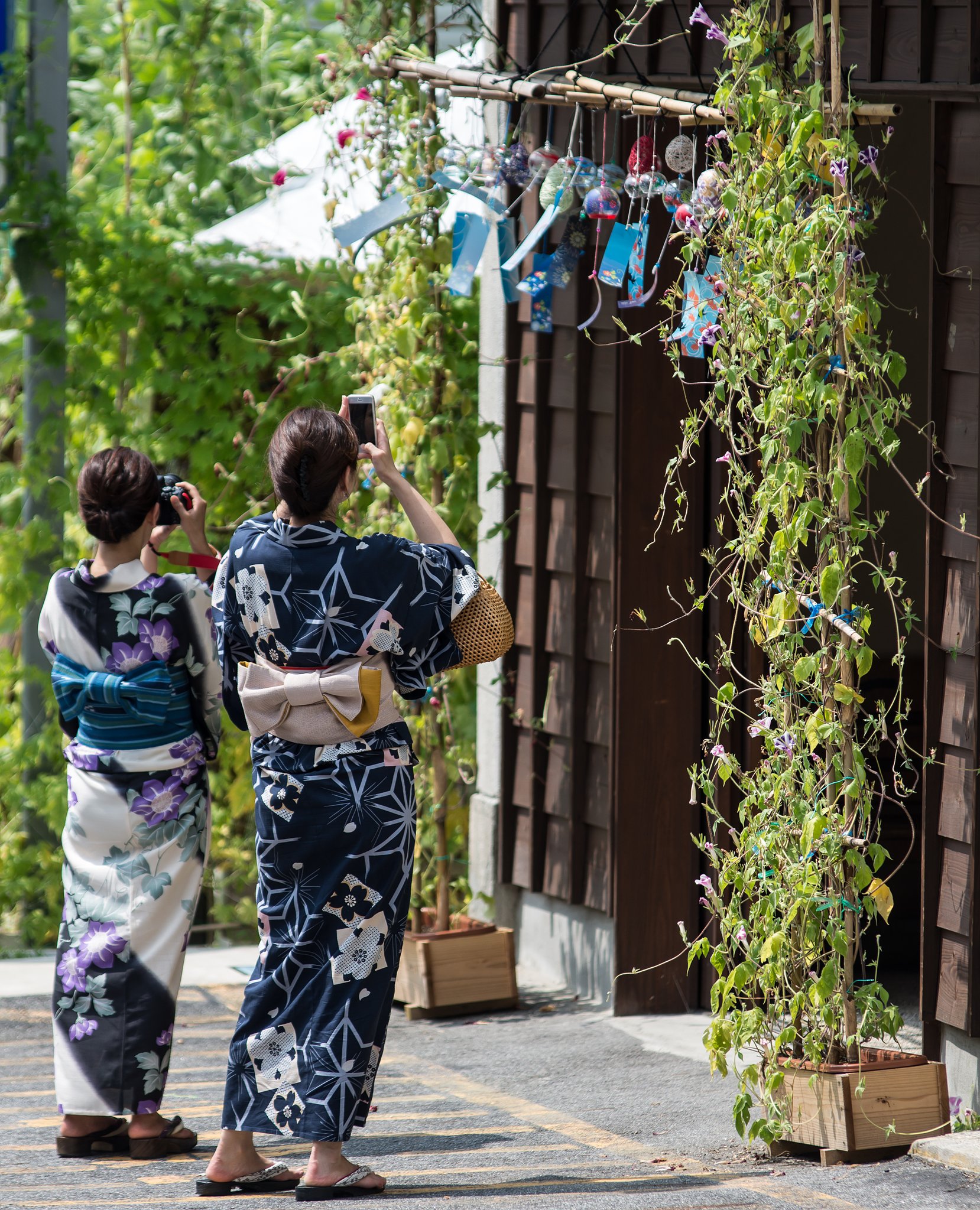 夏を撮る