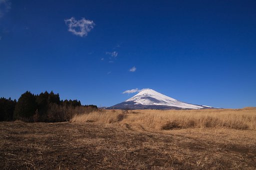 富士演習場にて
