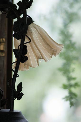 100mm F2大口径ボケを試す