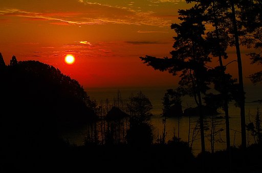 9月8日の写真
