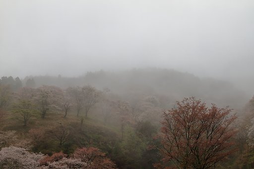 霧の吉野山