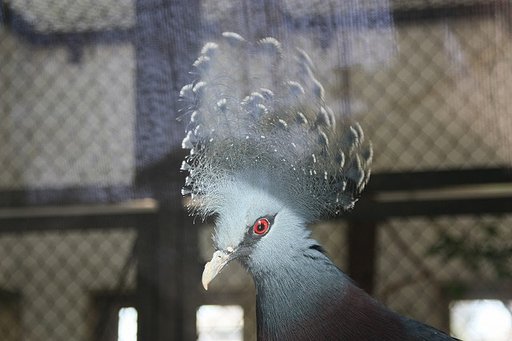 はじめまして