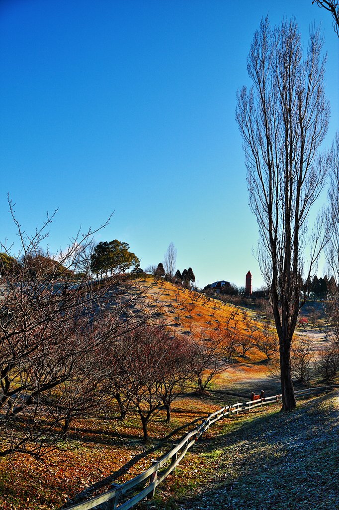 石ケ谷公園