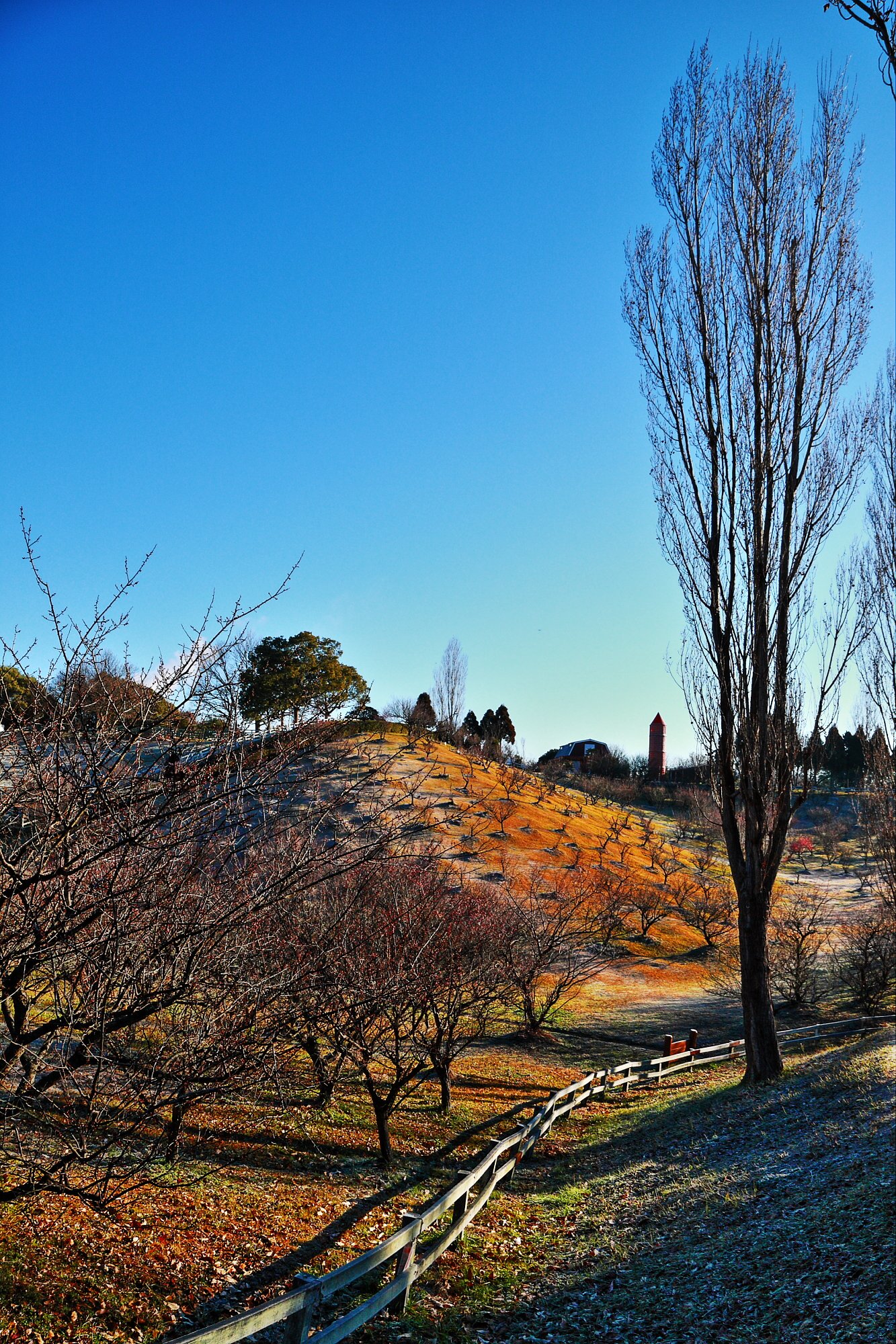 石ケ谷公園