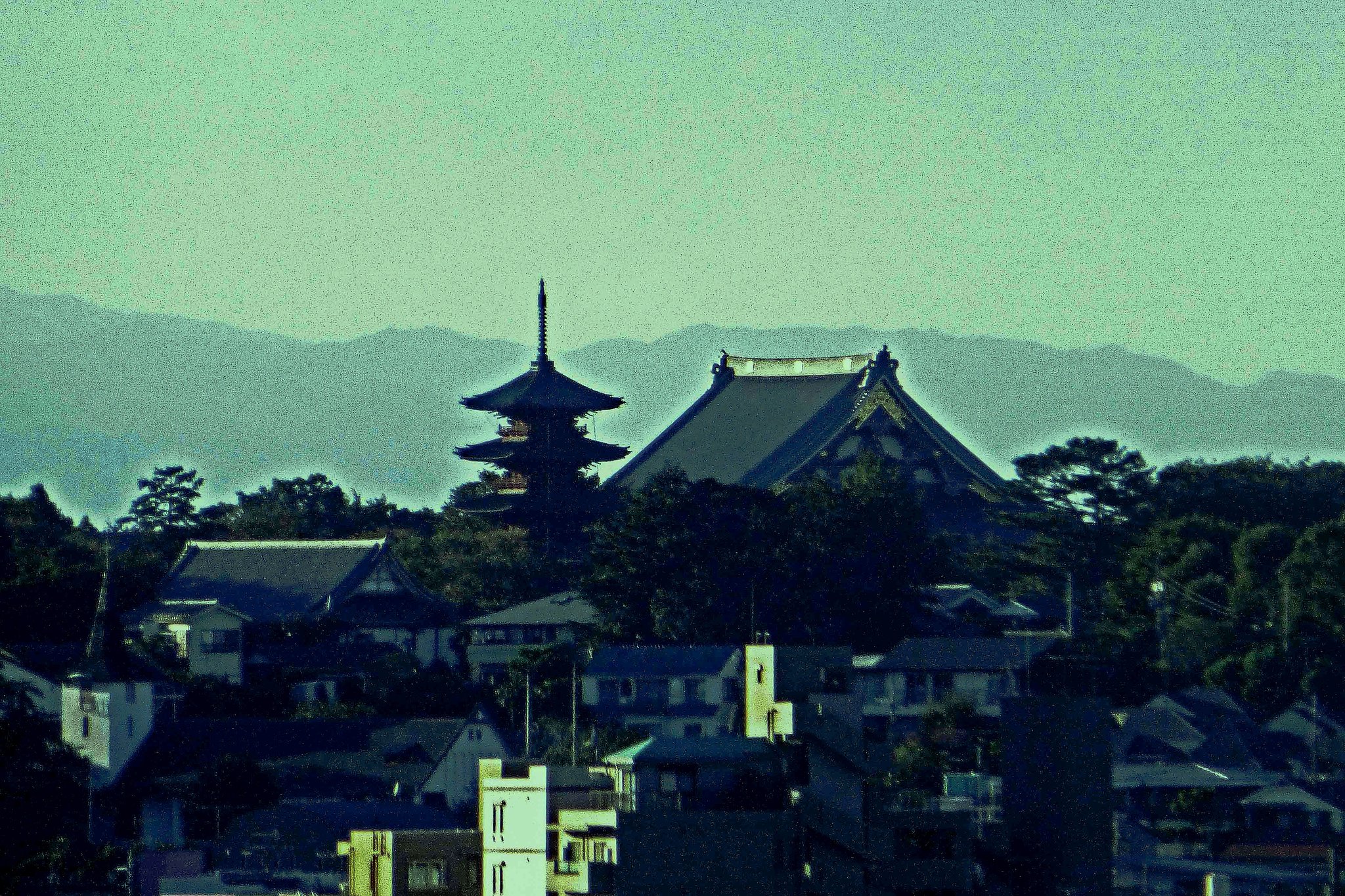 寺