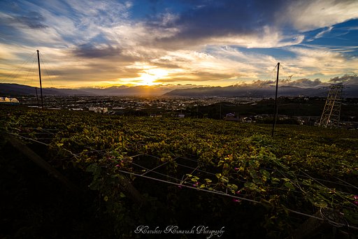 勝沼ぶどう郷夕景