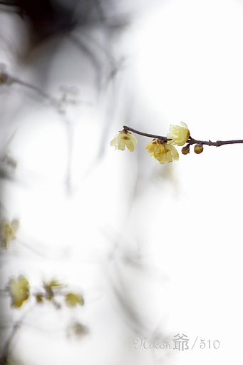 もうすぐ2月