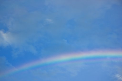 【命】育む雨、その後に