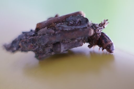 撤収