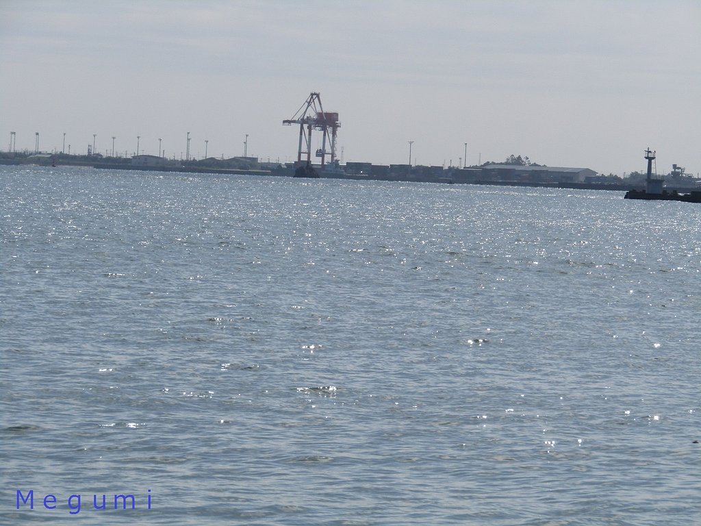 海にキリンが現れました、、(;^_^A